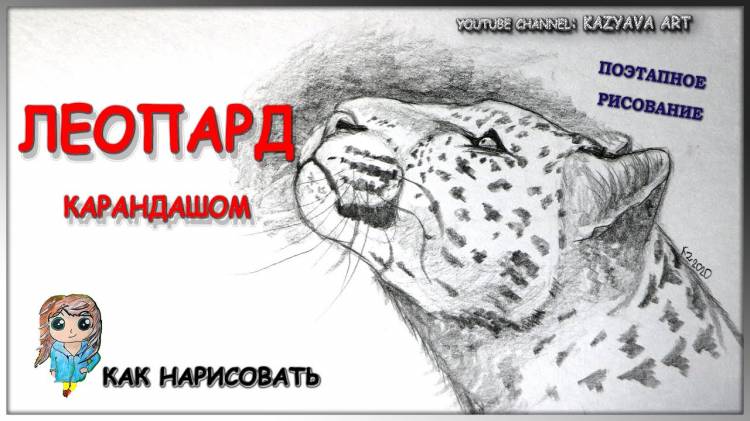 Как нарисовать леопарда карандашом