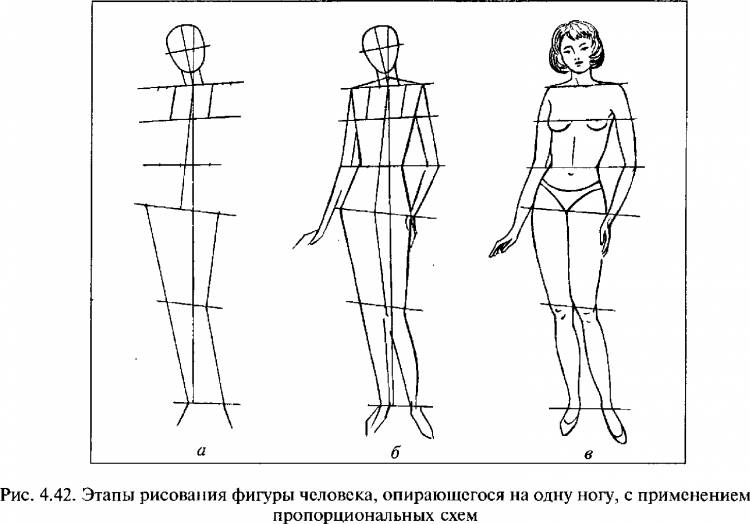 Фигура человека рисунок пропорции