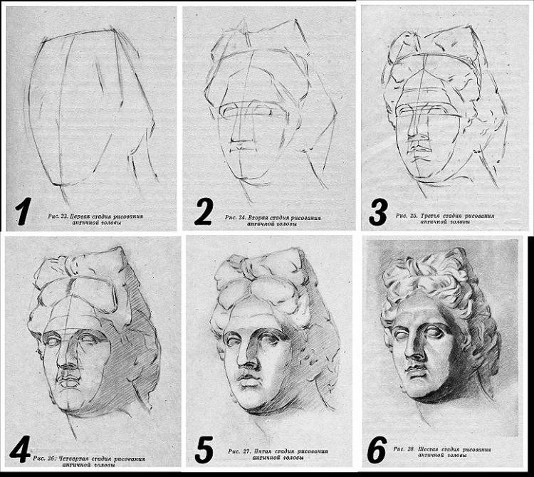 Этапы рисунка головы Аполлона