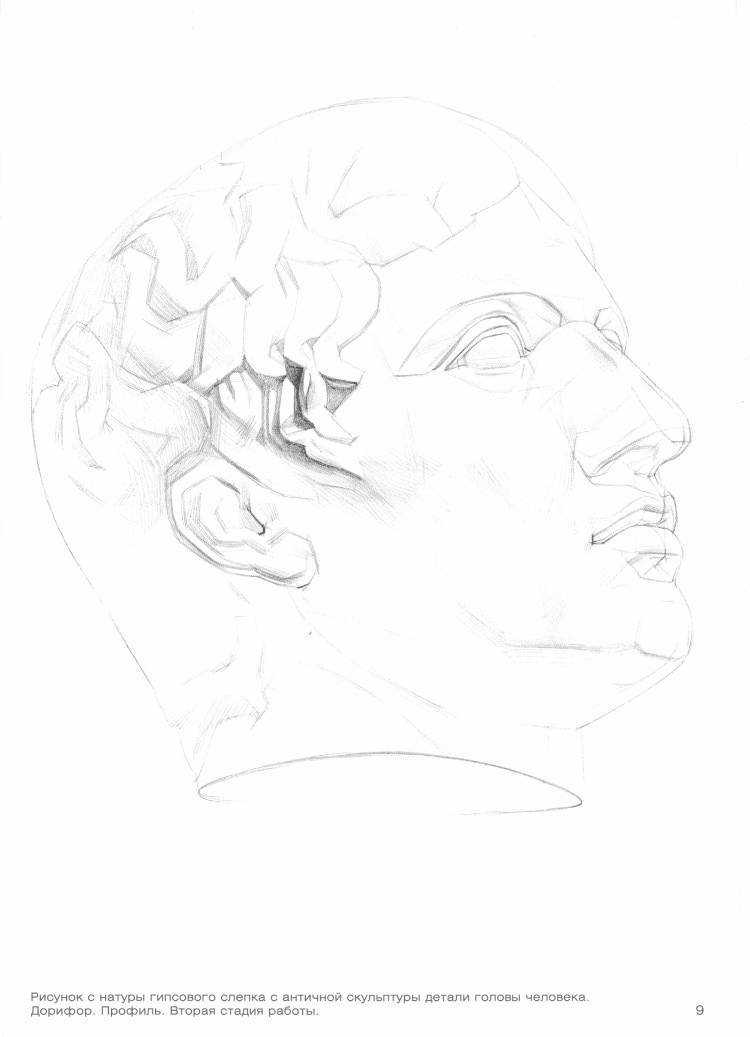 Гипсовая голова рисунок карандашом