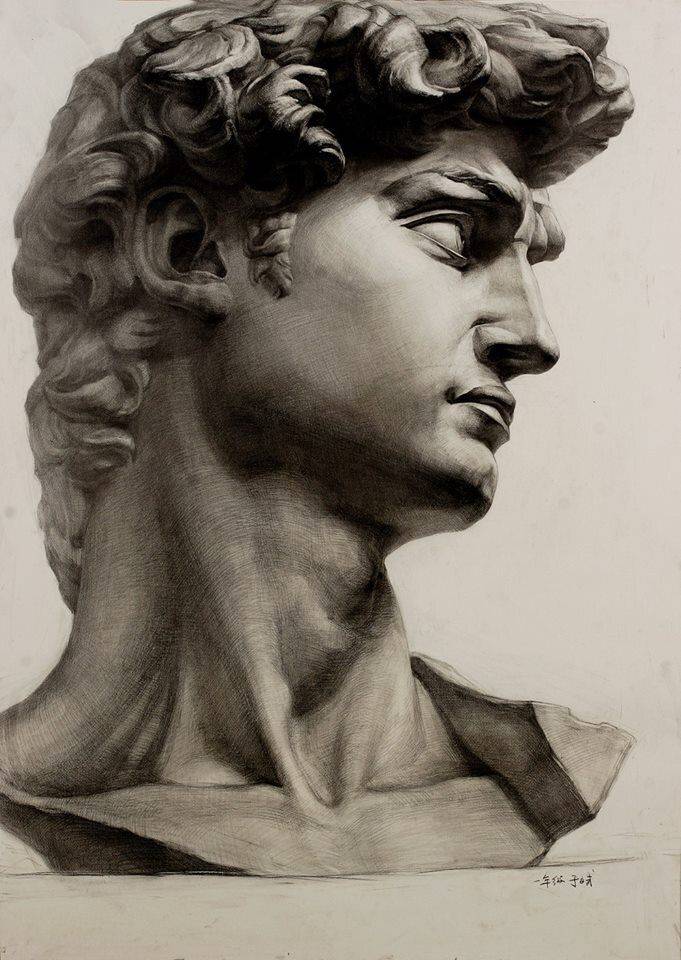 Как рисовать гипсовую голову Давида поэтапно?