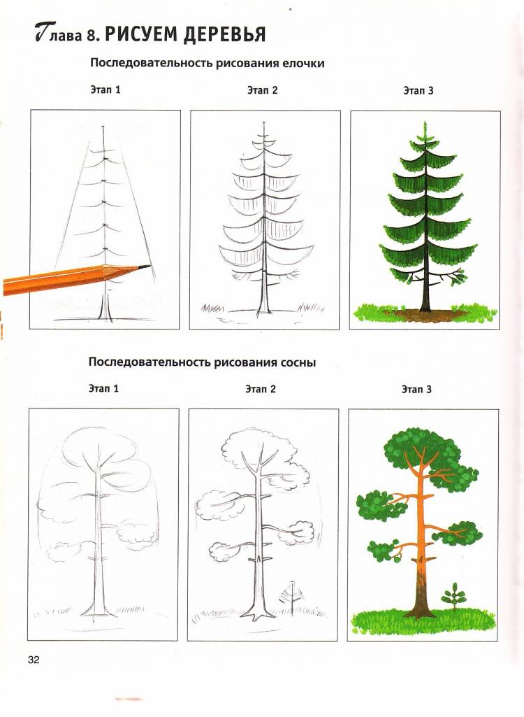 Схема рисования дерева для детей