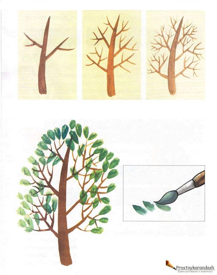 Рисуем деревья акварелью