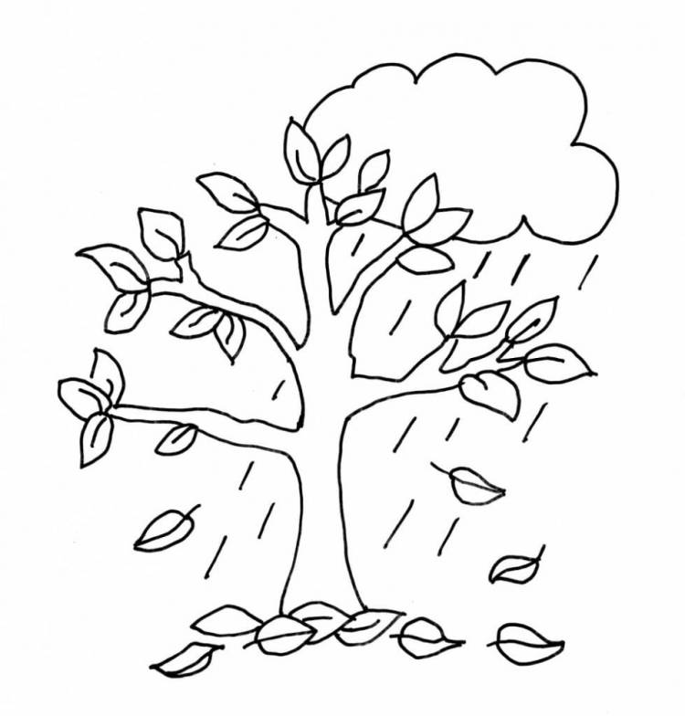 Осеннее дерево рисунок карандашом