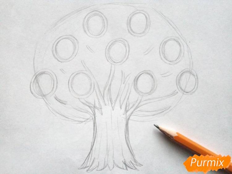 Как нарисовать генеалогическое дерево