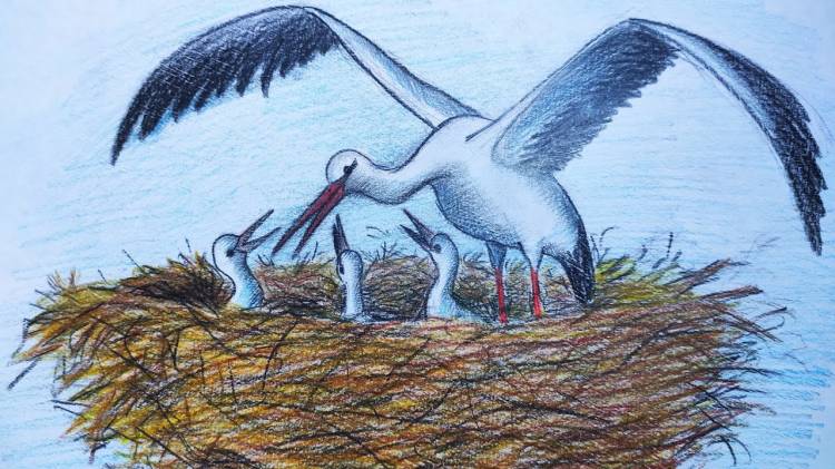 Рисуем гнездо аиста