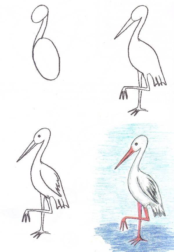 Рисуем поэтапно перелетных птиц