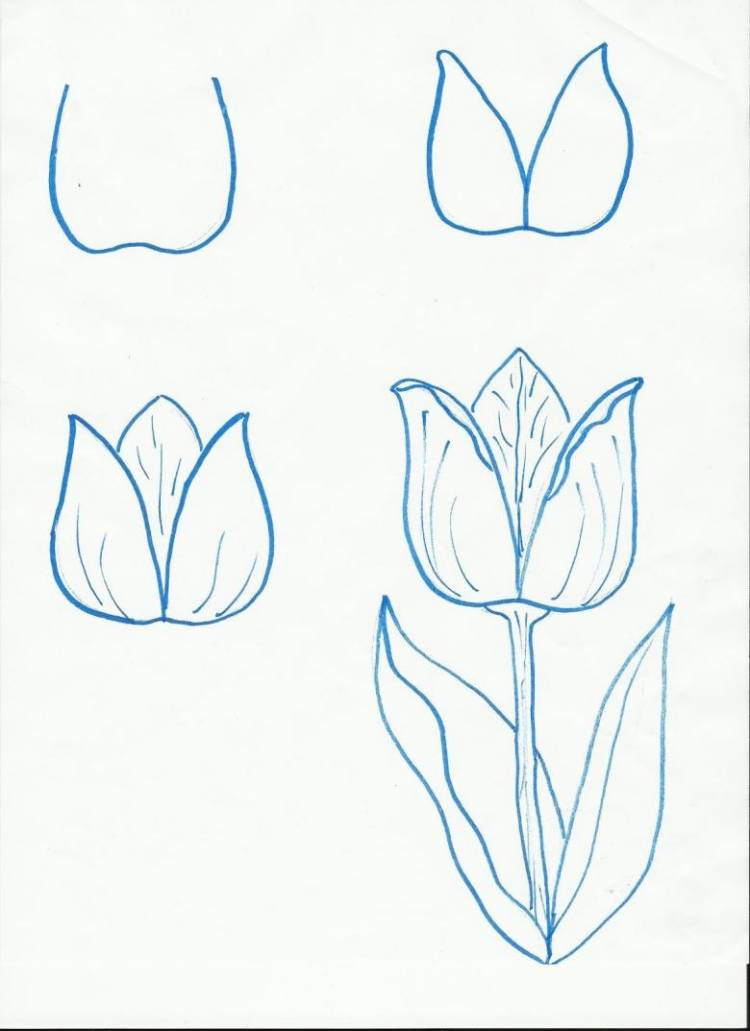 Поэтапное рисование цветов для детей