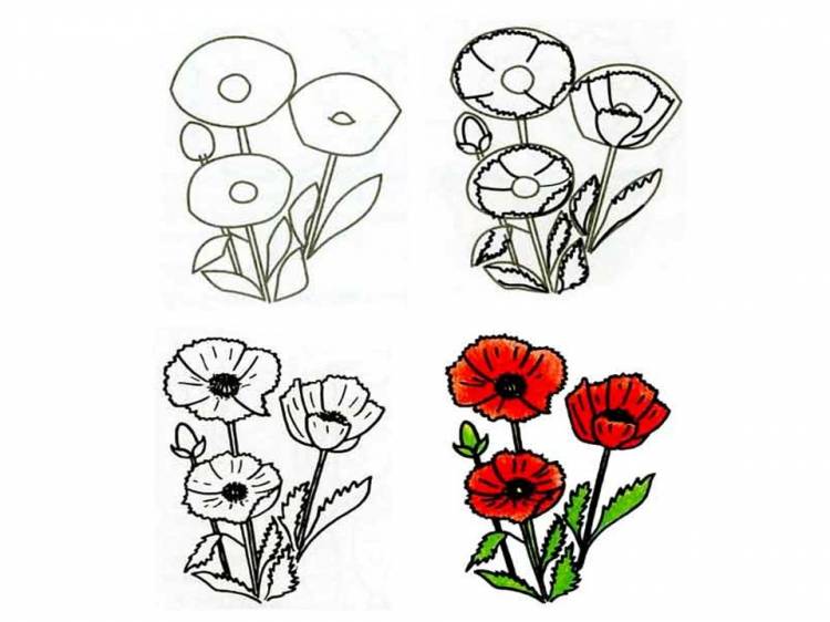 Как нарисовать вазу? Как поэтапно нарисовать карандашом вазу с цветами, с фруктами? пошагово