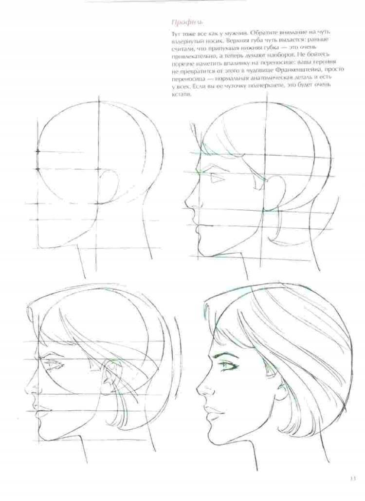 Поэтапное рисование головы в профиль