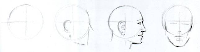 Как нарисовать голову человека? Пропорции головы и лица