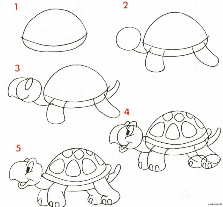 Черепаха карандашом для детей