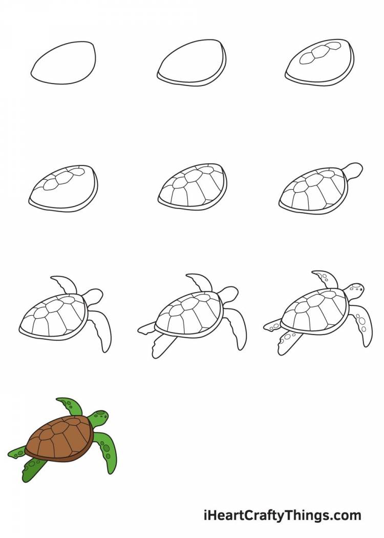 Рисунок черепаха поэтапно
