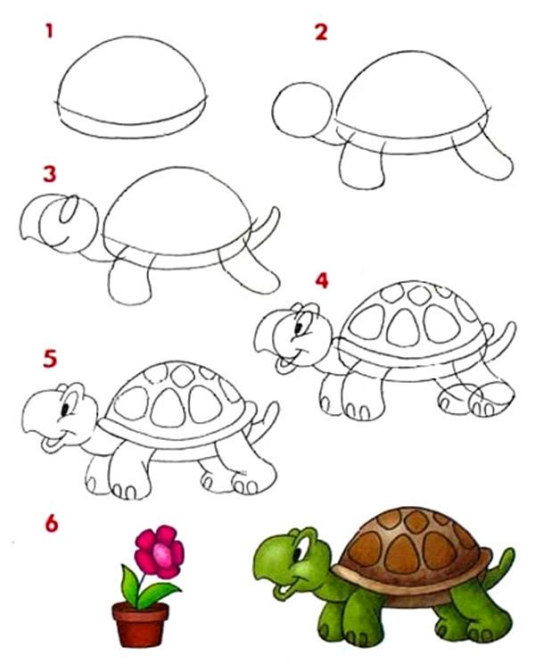 Как нарисовать черепаху » Как нарисовать поэтапно