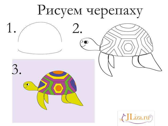 Как нарисовать черепаху?