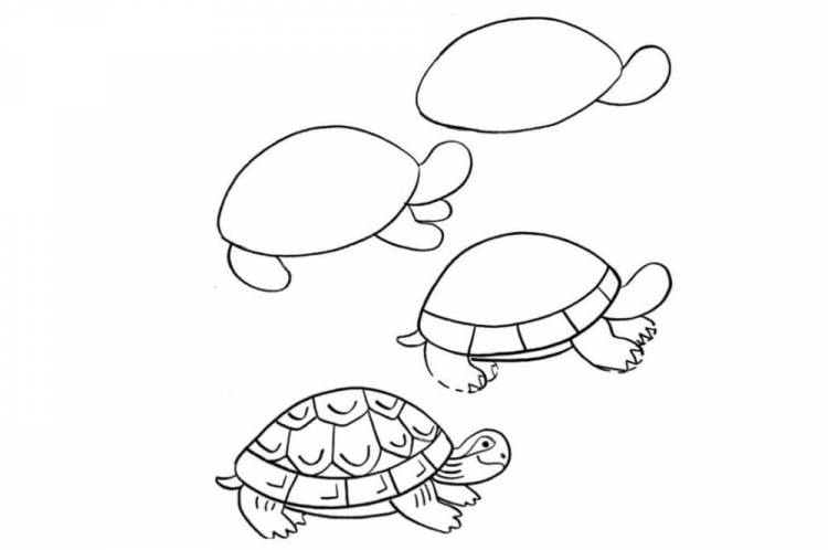 Черепаха детский рисунок пошагово 