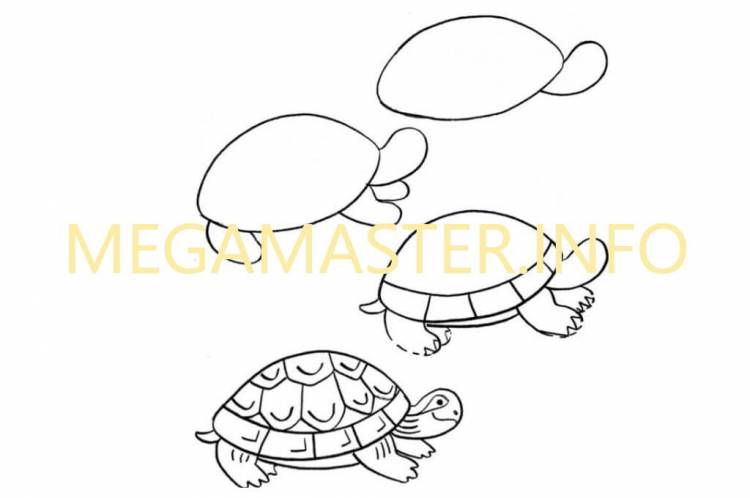 Как нарисовать черепаху карандашом поэтапно для детей