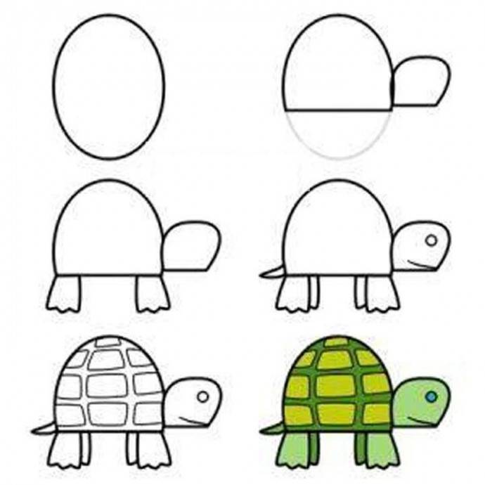 Рисуем с детьми черепаху