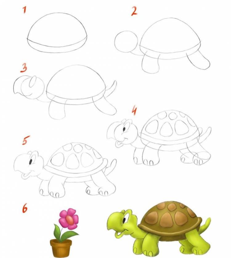 Рисуем с детьми черепаху