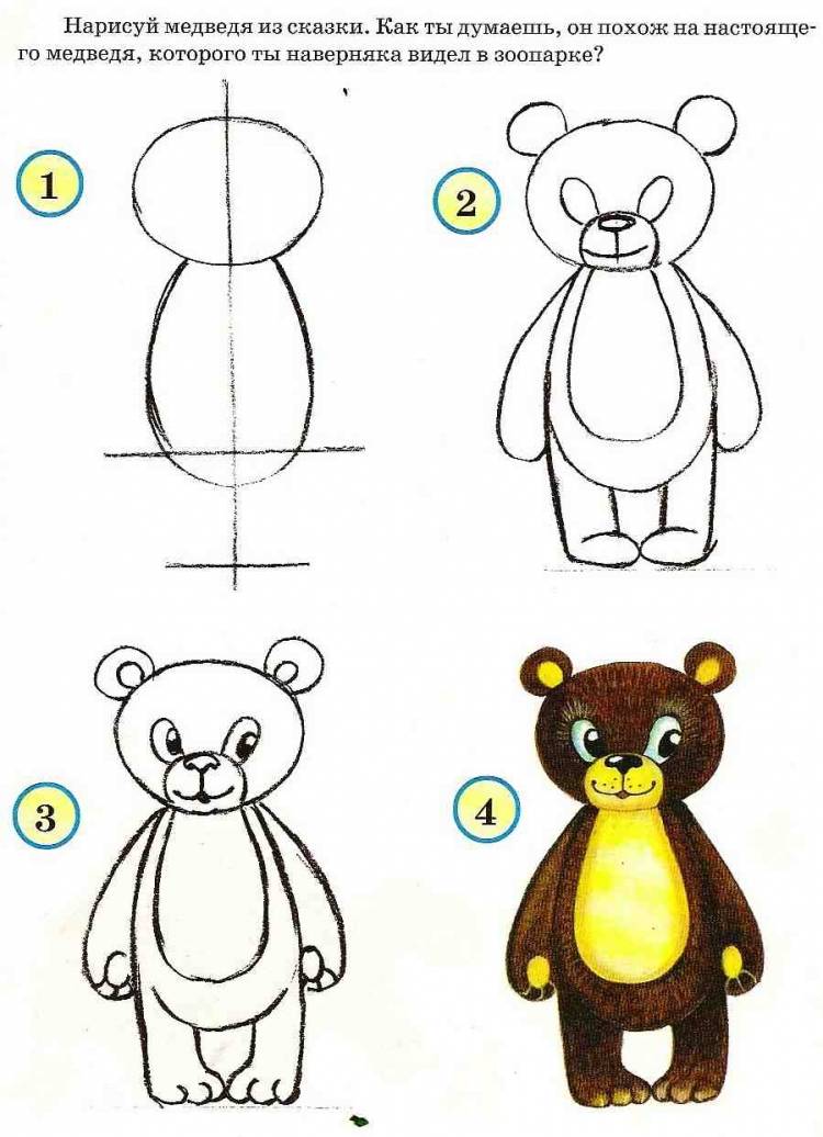 Схема рисования медведя для детей