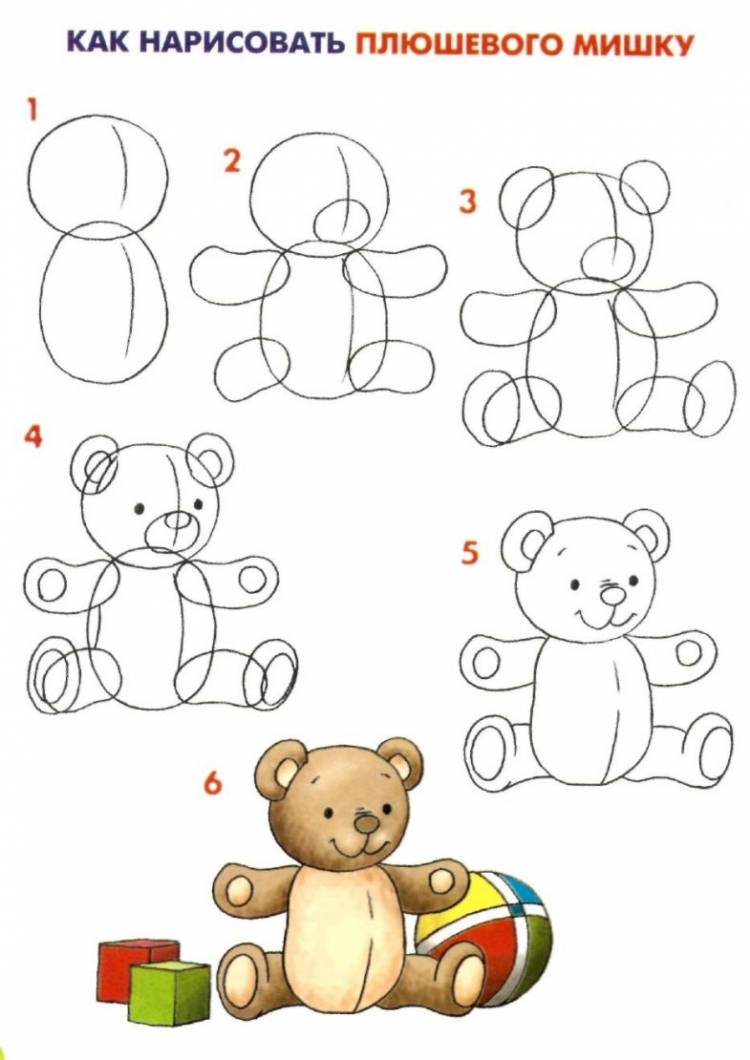 Схема рисования медведя для детей