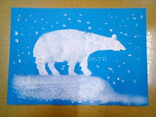 Рисование белого медведя в старшей группе поэтапно с фото