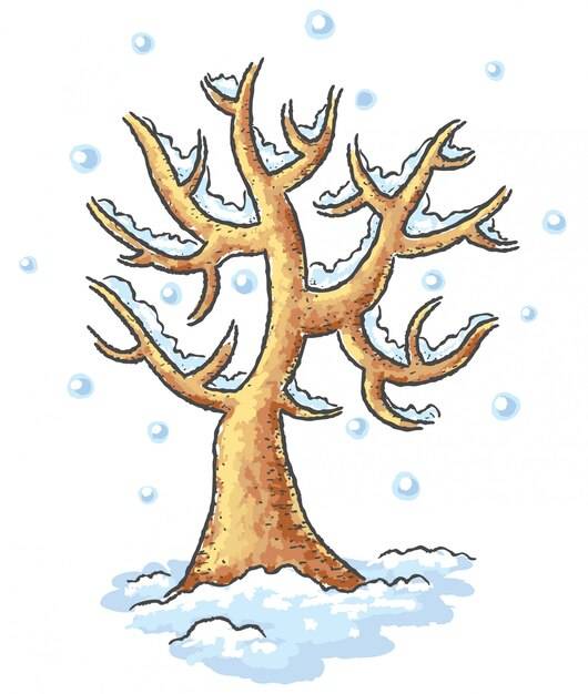 Рисунок дуб зимой (Много фото)