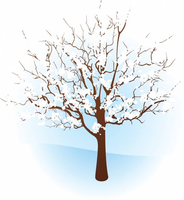 Рисунок дерево зимой