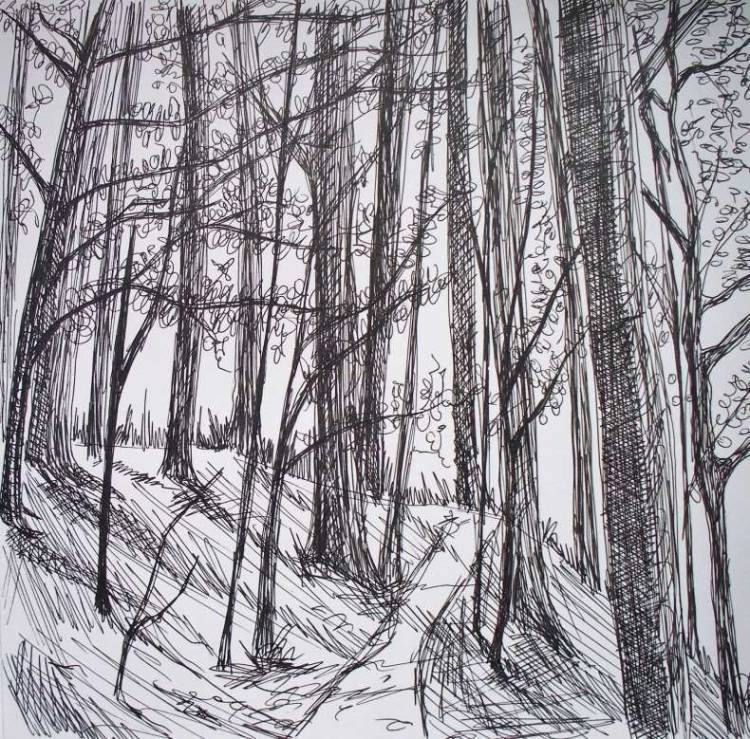 Как нарисовать лес карандашом и гуашью 