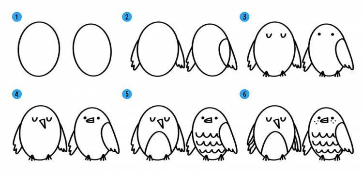 Как нарисовать птицу (птичку) поэтапно