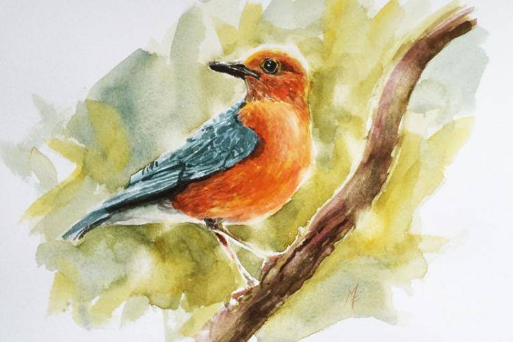 Как рисовать птиц акварелью поэтапно