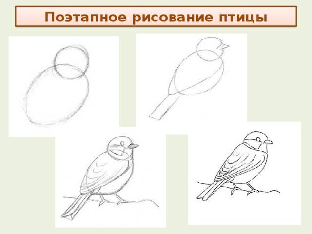 Презентация к уроку изобразительного искусства Птицы весной