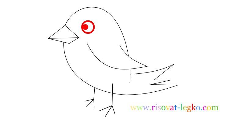 Как нарисовать птицу ребенку