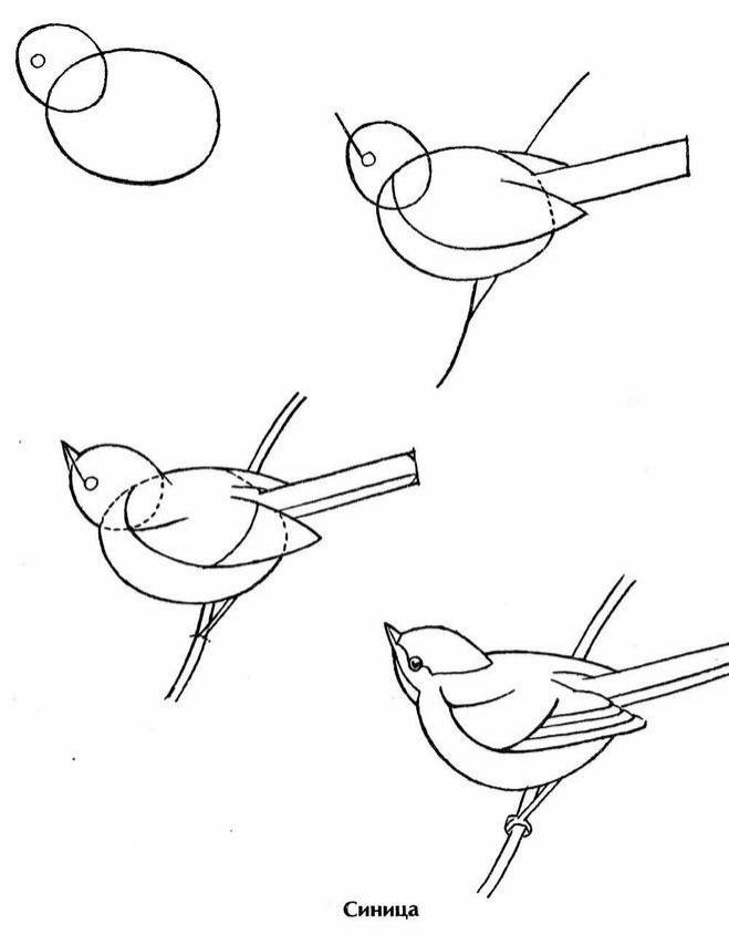Учимся рисовать птичку
