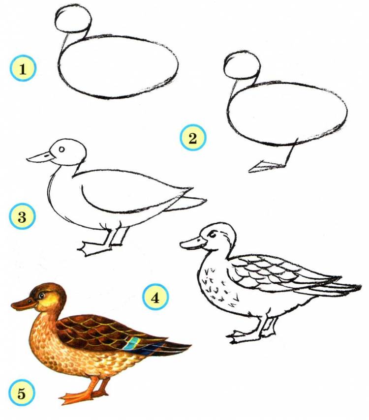 Рисование «Перелетные птицы»