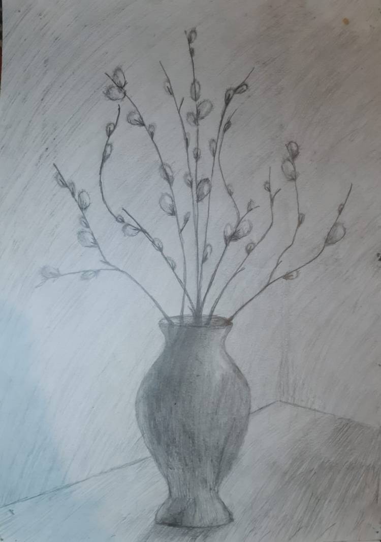 Верба в вазе рисунок. Ваза с вербой карандашом. Рисование ваза с ветками. Ваза с вербой рисование. Рисование с натуры ваза с ветками.