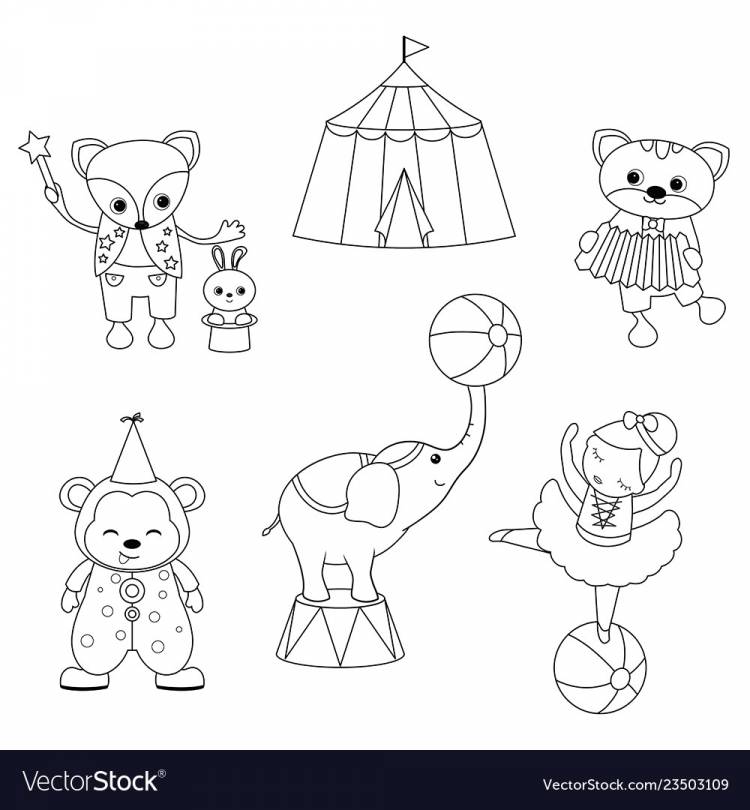 Поэтапное рисование цирковых животных для дошкольников