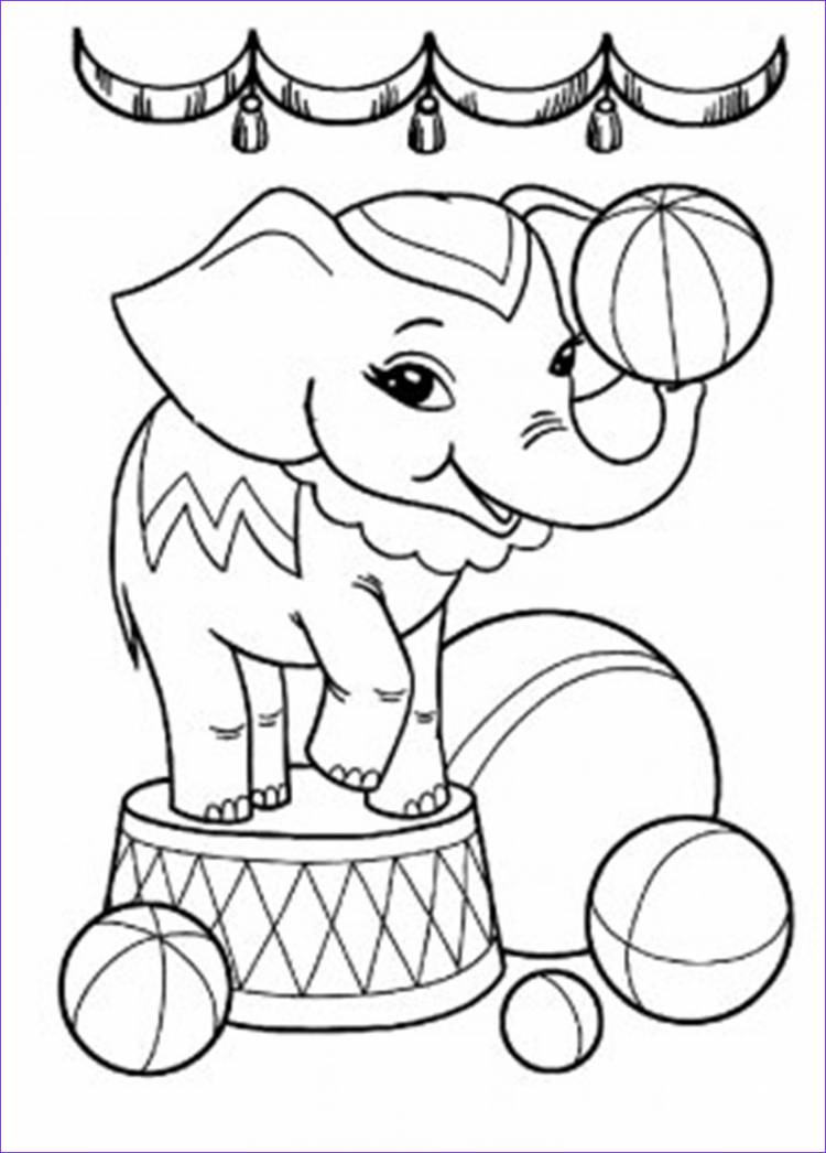 Поэтапное рисование цирковых животных для дошкольников