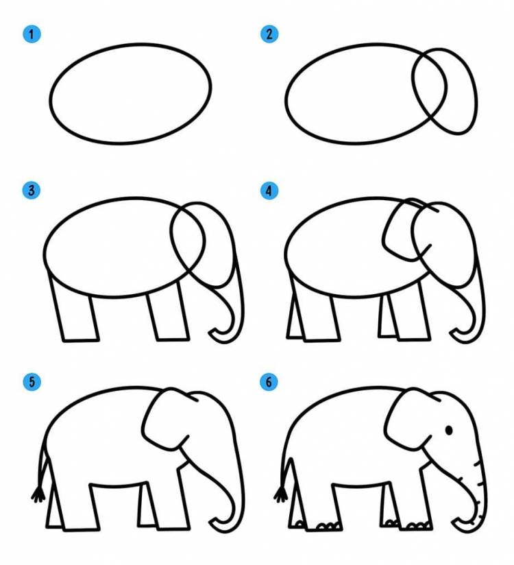 Идеи для срисовки слона для детей карандашом поэтапно легко 