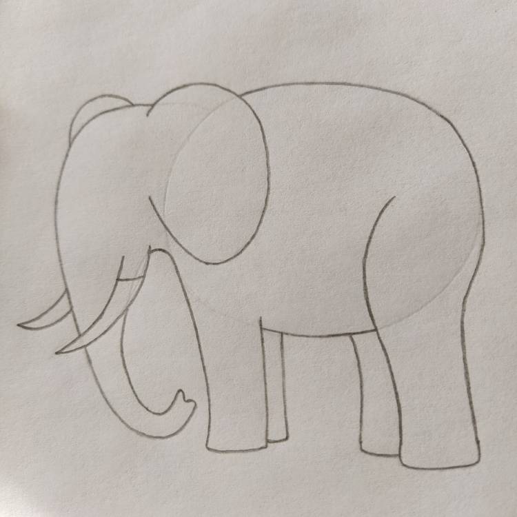 Идеи для срисовки слон карандашом легко поэтапно 