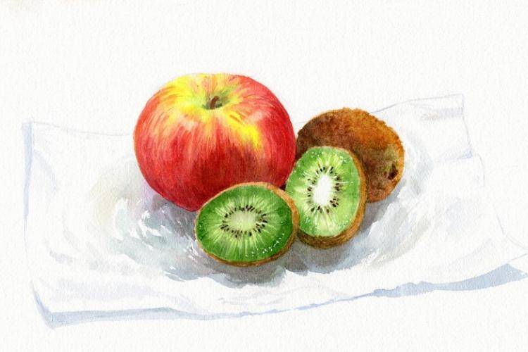 Как рисовать овощи и фрукты акварелью поэтапно