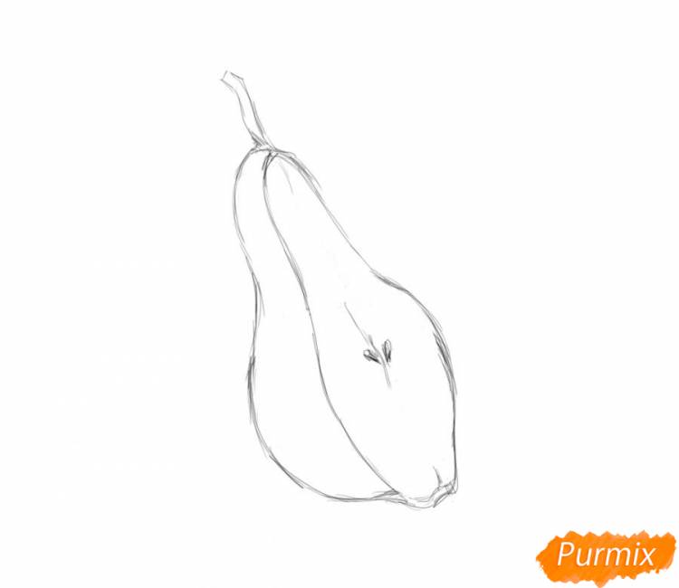 Как нарисовать грушу поэтапно