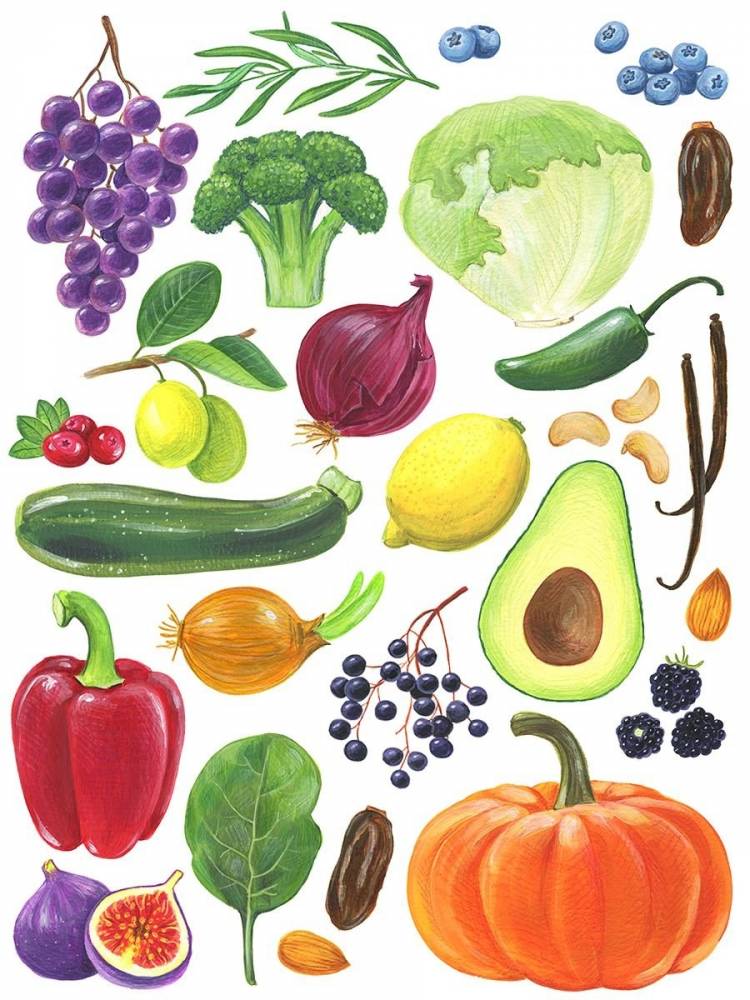 Как нарисовать овощи и фрукты для детей