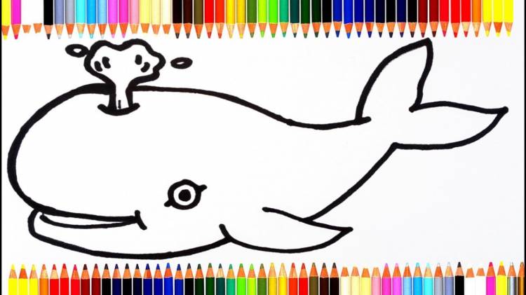 Как нарисовать кита