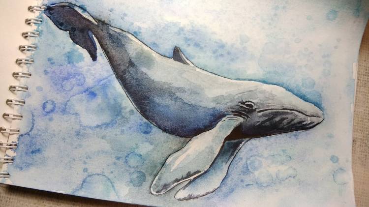 Как нарисовать кита акварелью?