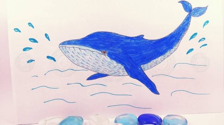 Как нарисовать кита поэтапно