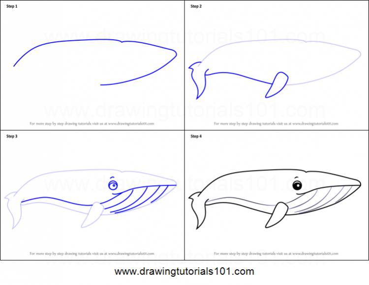 Рисунок синего кита поэтапно 