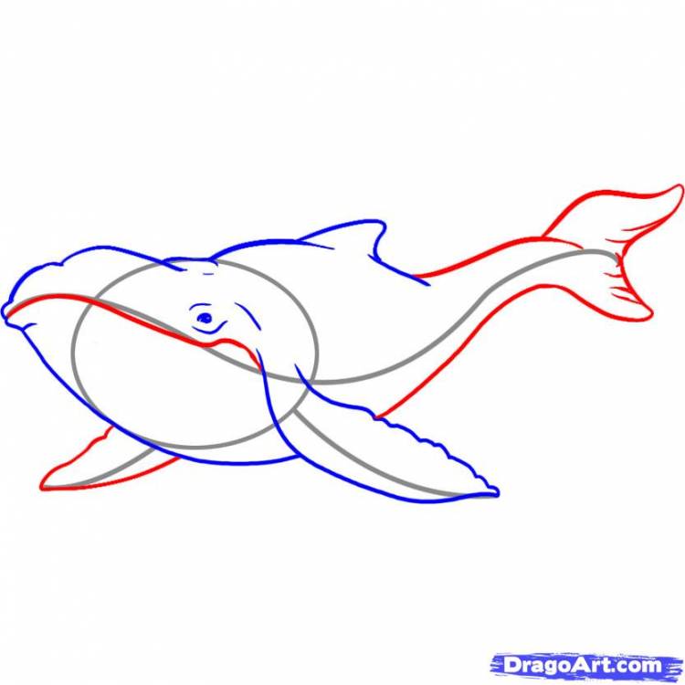 Как нарисовать кита акварелью