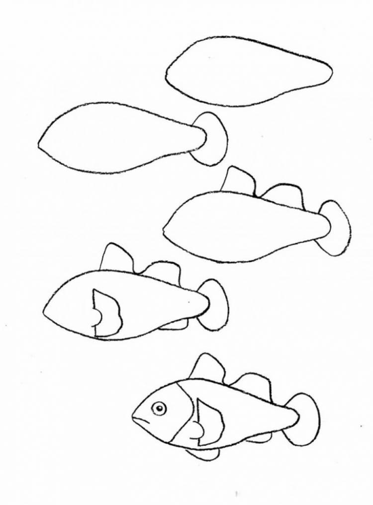 Поэтапное рисование морских обитателей для детей