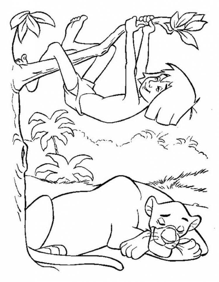 Рисунки для срисовки Маугли
